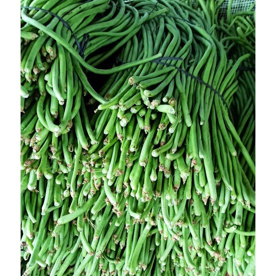 Yard Long Bean / Valli Payar / വള്ളിപ്പയർ